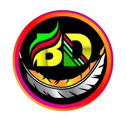 أيقونة BD NET VPN